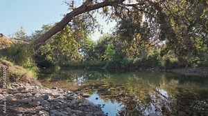 Rope swing hanging from a tree over water