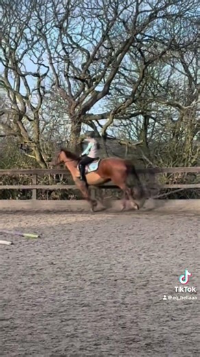 River on Sunday she was so strong I fell off but she’s getting a new bit