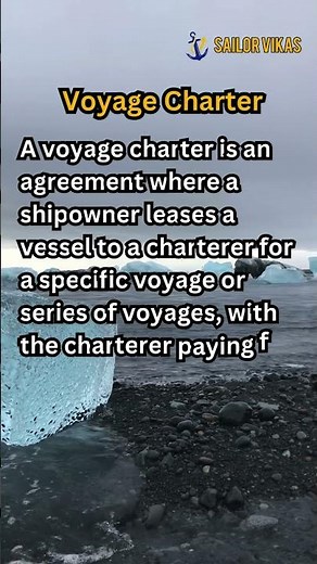 Who is a Voyage Charterer? 🚢 | Shipping Industry Explained in 15 Seconds! 💡
