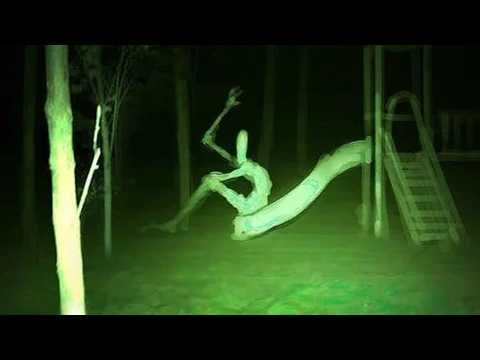 1 Hour Of Perfectly Cut Screams