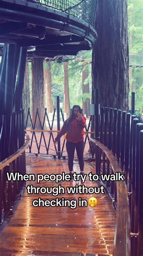 Redwood Treewalk: A Must-See Attraction