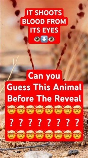 99% Fail! Can you Guess The Animal? #quiz #trivia