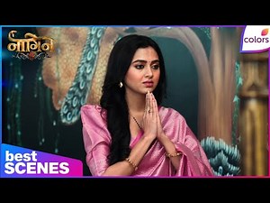 Naagin S6 | Ep. 1 | Zang Attacks & Kidnaps Prathna, What For? | Colors TV