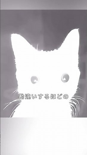 世界でいちばん明るい懐中電灯 vs いちばん暗い黒