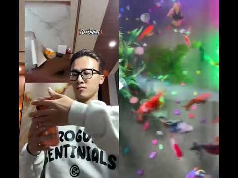 eyes 👁️ view tutorial ✨🔁 #loop #tutorials #shorts