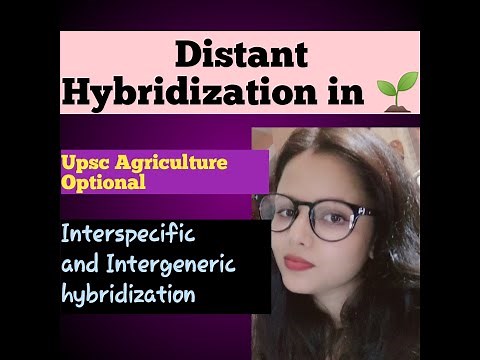 Distant Hybridization ( Interspecific and Intergeneric hybridization) #upsc#agricultureoptional