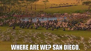 - Where are we? - San Diego.