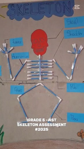 OverportSRS | Creating Human Skeletons in Grade 5 NST It's fantastic to hear that the learners in Grade 5 had a blast making their own Human Skeletons... | Instagram