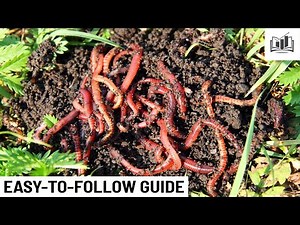 How to Start a Worm Farm Business
