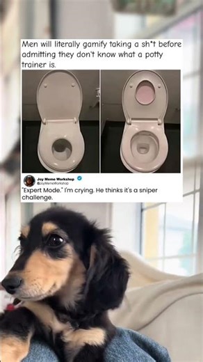 Men Will Literally Turn The Toilet Into A Game 🎯 #memes #funny #pets