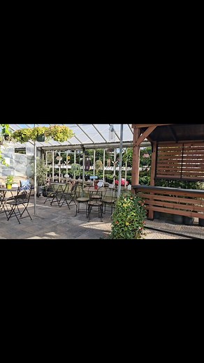 🌿 Come hang out in our beautiful conservatory! You’re always welcome to stay as long as you’d like — bring your lunch, a good book, or a friend and simply unwind surrounded by lush greenery and peaceful charm... As we slowly step into winter, our conservatory stays at the perfect temperature — you won’t even need a winter jacket! So when the chill (and snow ❄️) starts rolling in, remember there’s a little slice of paradise waiting for you at the Baldwin Greenhouse. | Baldwin Greenhouse