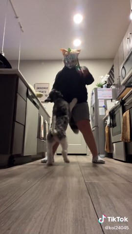 I know this is late, but my milkshake brings all the boys to the yard | my milkshake brings all boys to the yard