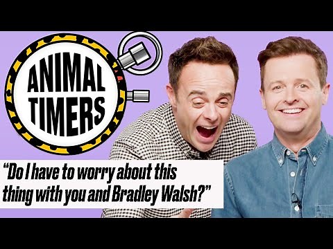 Ant and Dec get VERY COMPETITIVE playing Animal Timers | Animal Timers