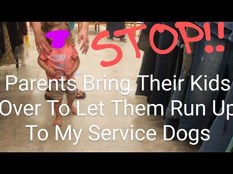 Service Dog Interference | Parents Stand And Watch As Their Kids Run Up To Service Dogs