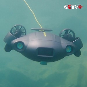 619 reactions · 60 shares | From aquaculture to offshore drilling, China’s marine industries have embraced 5G communications technology to increase operating efficiency and safety. https://www.cctvplus.com/news/20230904/8340885.shtml#!language=1 | CCTV+ | Facebook