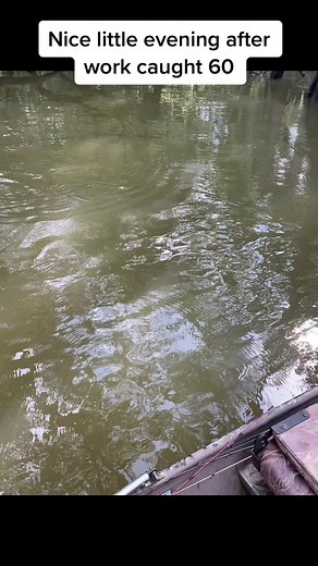 Love catching these big shellcracker #fishing #altamahariver #georgia @southgajeeepers