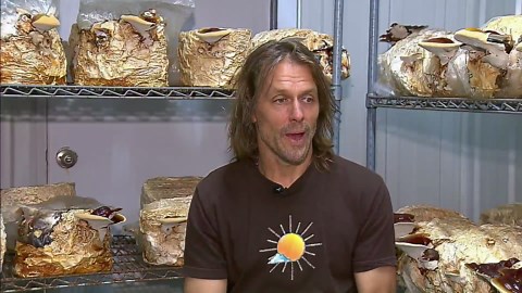 From NFL quarterback to mushroom farmer: Jake Plummer's journey from the gridiron to the fields of F