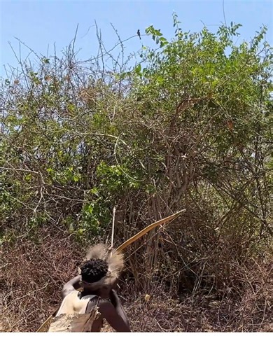 Hadzabe tribe bushmen are very skilled when it comes to preserving traditions in the bush 🥰