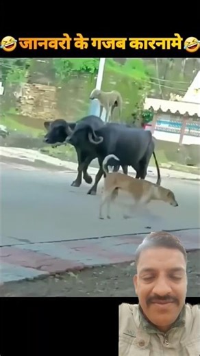 😂😂mukhymantri nikal chuke apni bodyguard ke sath raili mein 😂😂