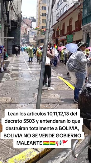 Bolivia No Se Vende: Artículos 10, 11 y 12 del Decreto 5503