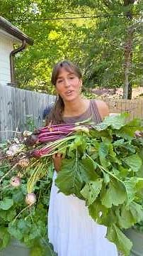 EP. 1 I LUNCH FROM THE GARDEN I Pickled Turnips, Grilled Chicken Skewers, & Cabbage-Carrot Slaw