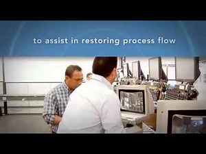 Zebra Dart Ultra Wideband Applications