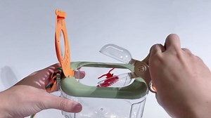 Bug Catcher for Kids Explorer Bug Catching Kit,Magnifying Glass, Tweezers, Whistle & Compass, Learning Guide, Insect Habitat, Outdoor Toys(3 Year +) (Kids Bug Catcher Set)