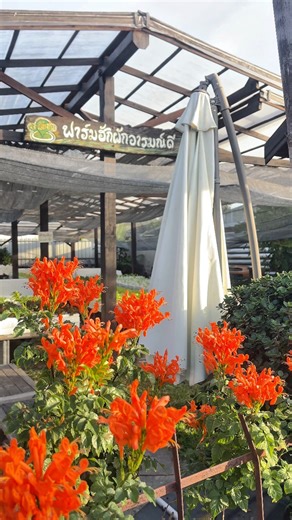 🌤️🌈บรรยากาศยามเช้า เข้าสู่ฤดูหนาวแล้ว | ฟาร์มฮักผักอารมณ์ดี
