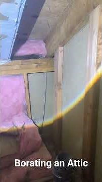 Completing a borate treatment in an attic.