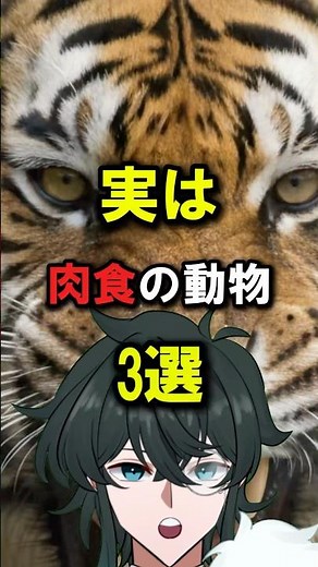 実は肉食の動物3選😻#雑学#動物 #豆知識