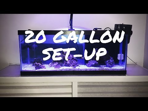 20 Gallon Long Set-up
