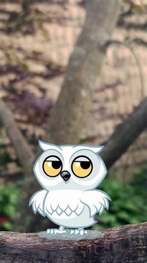 The Wise Owl’s Midnight Lesson 🌙✨ | A Short Story About Learning in the Dark