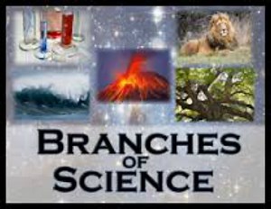 BRANCHES OF SCIENCE