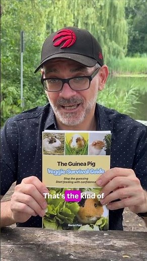 Why I wrote a book about guinea pigs