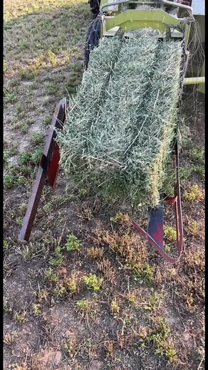 Baling Hay: A Step-by-Step Guide to Hay Collection