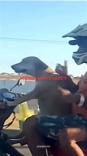 Try Not To Laugh Part 4 | #memes #funny #foryou #shorts