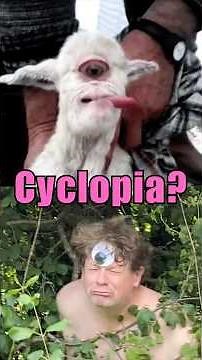 Is that a real cyclops?