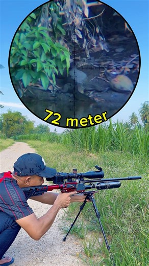 Masih jarak dekat, wajib bidik kepala ❗️🎯 #hunting #airriffle