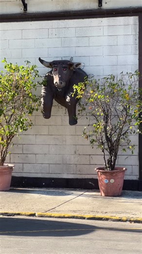 Duval Street Bull @thebullandwhistlebar in Key West 🏴‍☠️. Who has been here and which floor? - #keywest #keywestvibes | Backyards of Key West Gallery
