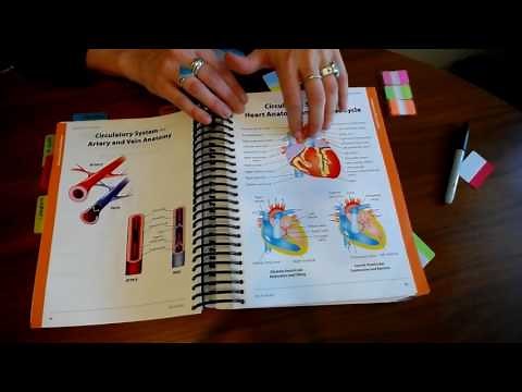 Tabbing the ICD10CM Coding Book