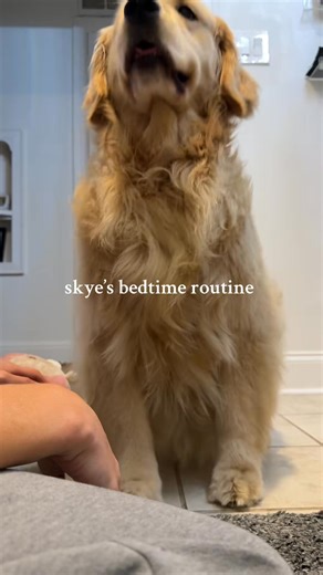 forgot to brush her hair but that’s her least favorite part | Mack And Skye