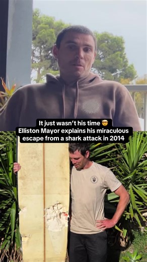 Elliston Mayor's Miraculous Shark Attack Survival Story