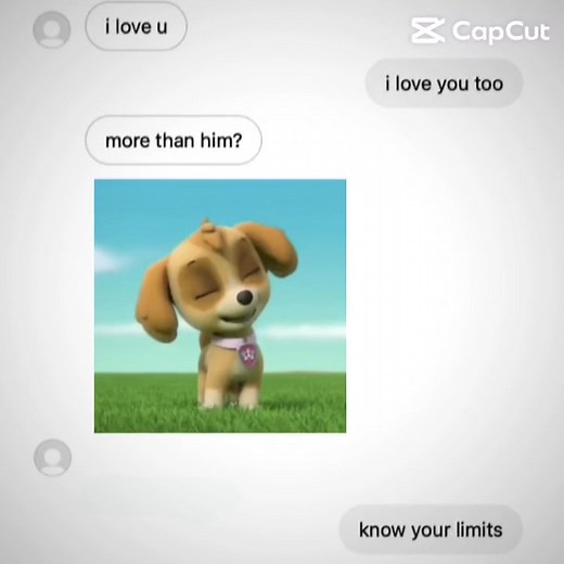Cute Skye and Chase Moments from Paw Patrol