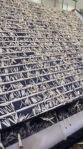 Machis box making factory in India | माचिस कैसे बनती है? | Creative Mindset | Facebook