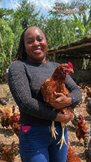 Stop Mixing Your Birds! 🐔🔥 Smart Poultry Zoning for Bigger Yields & Healthier Flocks | Kijani Farm
