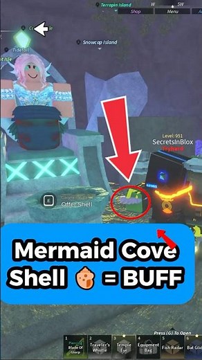 New Mermaid Cove Location and Seashells 🐚 in Fisch! | Calyra NPC #fisch
