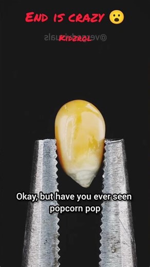 Ever seen Popcorn pop at 30,000 FPS? 🍿✨ #Shorts