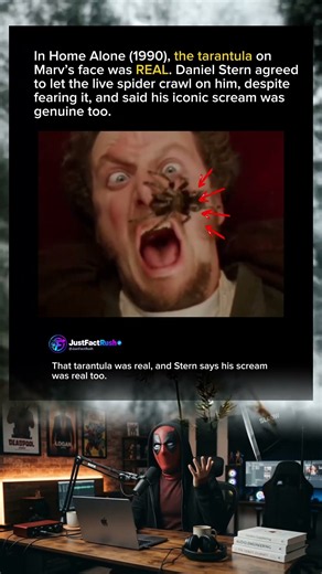 Home Alone (1990): The Tarantula Was REAL