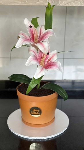 Flower Pot Themed Cake: A Beautiful Baking Creation