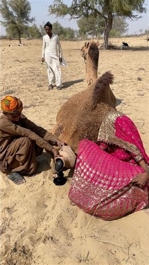 This Scene Will Melt Your Heart 🥺